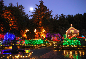 Shore Acres Holiday Lights